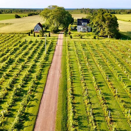 Bed and Breakfast Sunbury Cove Winery Miscouche Экстерьер фото