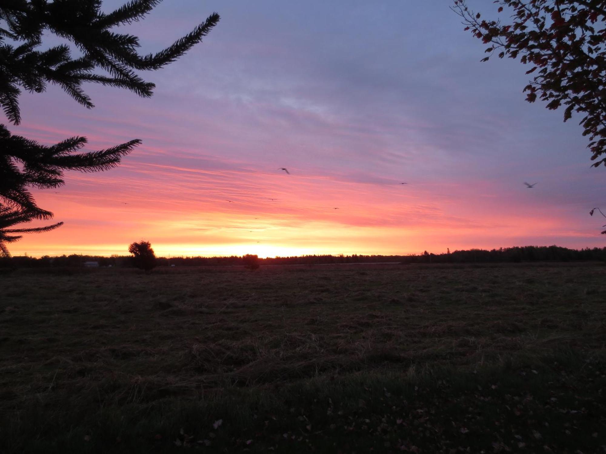 Bed and Breakfast Sunbury Cove Winery Miscouche Экстерьер фото